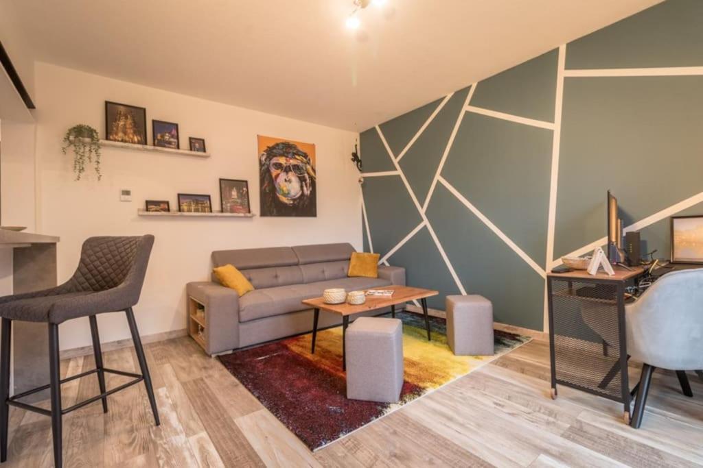 Appartement Le Saver'Zaru, Centre Ville, T2 55M² Saverne Exterior photo
